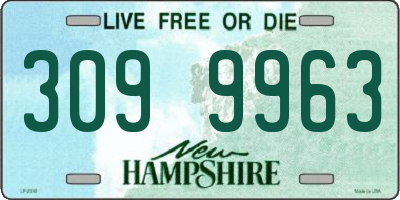 NH license plate 3099963