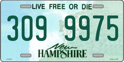 NH license plate 3099975