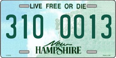 NH license plate 3100013