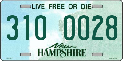 NH license plate 3100028