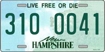 NH license plate 3100041