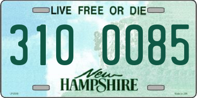 NH license plate 3100085