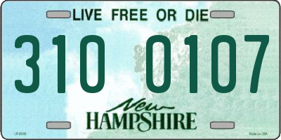 NH license plate 3100107