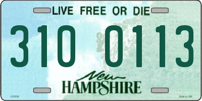 NH license plate 3100113