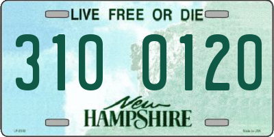 NH license plate 3100120