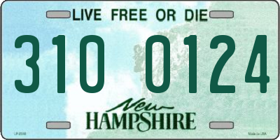 NH license plate 3100124