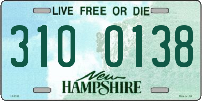 NH license plate 3100138