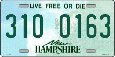 NH license plate 3100163