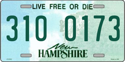 NH license plate 3100173