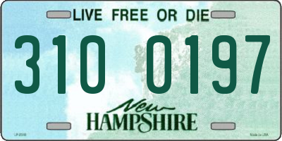 NH license plate 3100197