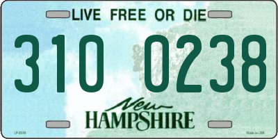 NH license plate 3100238