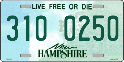NH license plate 3100250