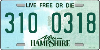 NH license plate 3100318