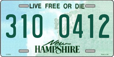 NH license plate 3100412