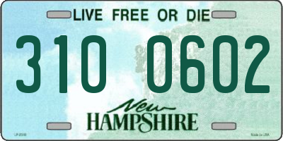 NH license plate 3100602