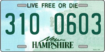 NH license plate 3100603