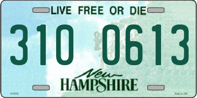 NH license plate 3100613