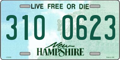 NH license plate 3100623