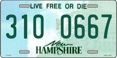 NH license plate 3100667