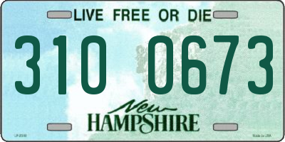 NH license plate 3100673