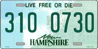NH license plate 3100730