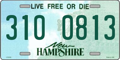NH license plate 3100813
