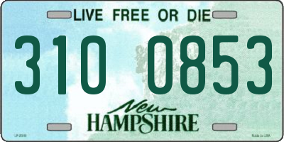 NH license plate 3100853