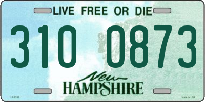 NH license plate 3100873