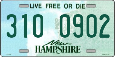 NH license plate 3100902