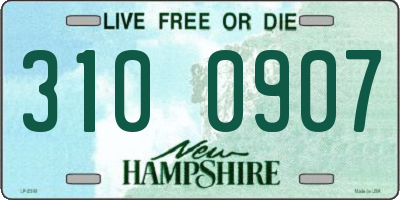 NH license plate 3100907