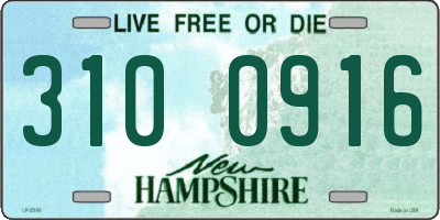 NH license plate 3100916