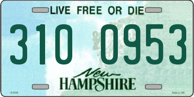 NH license plate 3100953