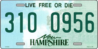 NH license plate 3100956