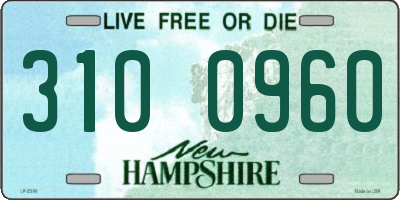 NH license plate 3100960