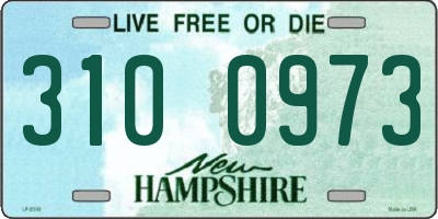 NH license plate 3100973