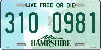 NH license plate 3100981