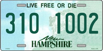 NH license plate 3101002