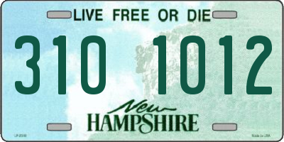NH license plate 3101012