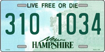 NH license plate 3101034