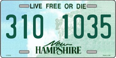 NH license plate 3101035