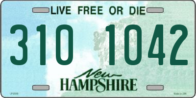 NH license plate 3101042