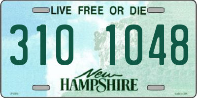 NH license plate 3101048