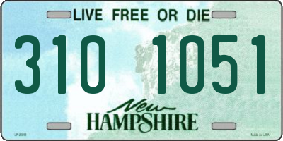 NH license plate 3101051