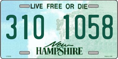 NH license plate 3101058