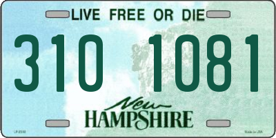 NH license plate 3101081
