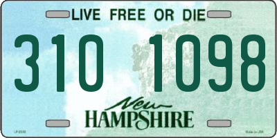 NH license plate 3101098