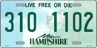 NH license plate 3101102