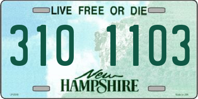 NH license plate 3101103