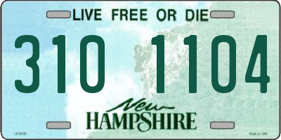 NH license plate 3101104