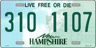 NH license plate 3101107